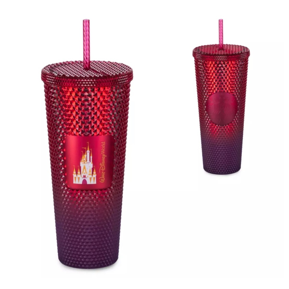 Walt‎ Disney World Geometric Starbucks Tumbler with Straw